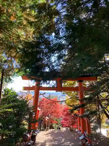 新倉富士浅間神社の鳥居