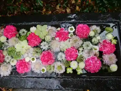 行田八幡神社(埼玉県)