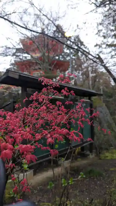 正法寺(京都府)