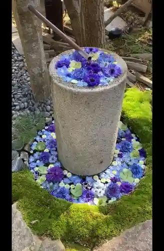 行田八幡神社の{uncategorized: "未分類", other: "その他", undefined: "問題あり", building: "その他建物", grave: "お墓", sacred_gate: "鳥居", guardian: "狛犬", statue: "像", buddha: "仏像", history: "歴史", nature: "自然", garden: "庭園", animal: "動物", pagoda: "塔", temizu: "手水舎", mountain_gate: "山門・神門", sanctuary: "本殿・本堂", subordinate: "末社・摂社", art: "芸術", scenery: "景色", jizo: "地蔵", ema: "絵馬", goshuin: "御朱印", omikuji: "おみくじ", items: "授与品その他", amulet: "お守り", goshuincho: "御朱印帳", eats: "食事", festival: "お祭り", votive_dance: "神楽", shichigosan: "七五三参", wedding: "結婚式", experience: "体験その他", initially: "初詣", around: "周辺", anti_infection: "感染症対策"}