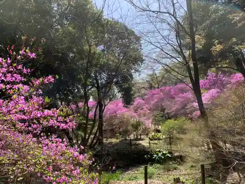 廣田神社の自然