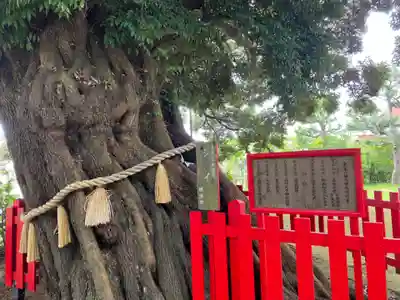 八幡大神(神奈川県)