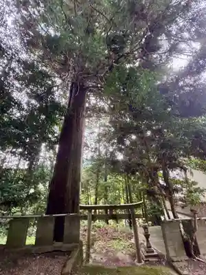 夜支布山口神社(奈良県)