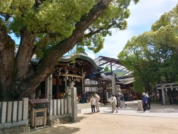 石切劔箭神社(大阪府)