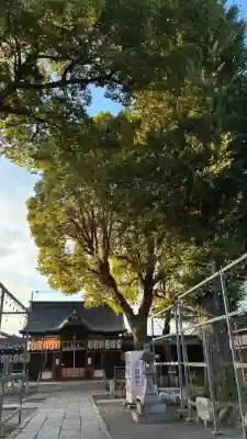 縣神社(京都府)