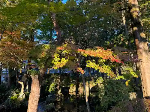 諏訪大社下社秋宮(長野県)