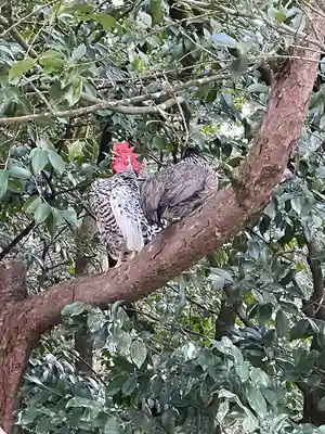 石上神宮(奈良県)