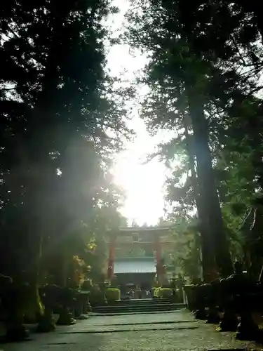 北口本宮冨士浅間神社の鳥居