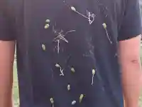 蓮久寺(千葉県)