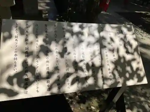 大杉神社(茨城県)