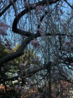 牛天神北野神社の{uncategorized: "未分類", other: "その他", undefined: "問題あり", building: "その他建物", grave: "お墓", sacred_gate: "鳥居", guardian: "狛犬", statue: "像", buddha: "仏像", history: "歴史", nature: "自然", garden: "庭園", animal: "動物", pagoda: "塔", temizu: "手水舎", mountain_gate: "山門・神門", sanctuary: "本殿・本堂", subordinate: "末社・摂社", art: "芸術", scenery: "景色", jizo: "地蔵", ema: "絵馬", goshuin: "御朱印", omikuji: "おみくじ", items: "授与品その他", amulet: "お守り", goshuincho: "御朱印帳", eats: "食事", festival: "お祭り", votive_dance: "神楽", shichigosan: "七五三参", wedding: "結婚式", experience: "体験その他", initially: "初詣", around: "周辺", anti_infection: "感染症対策"}