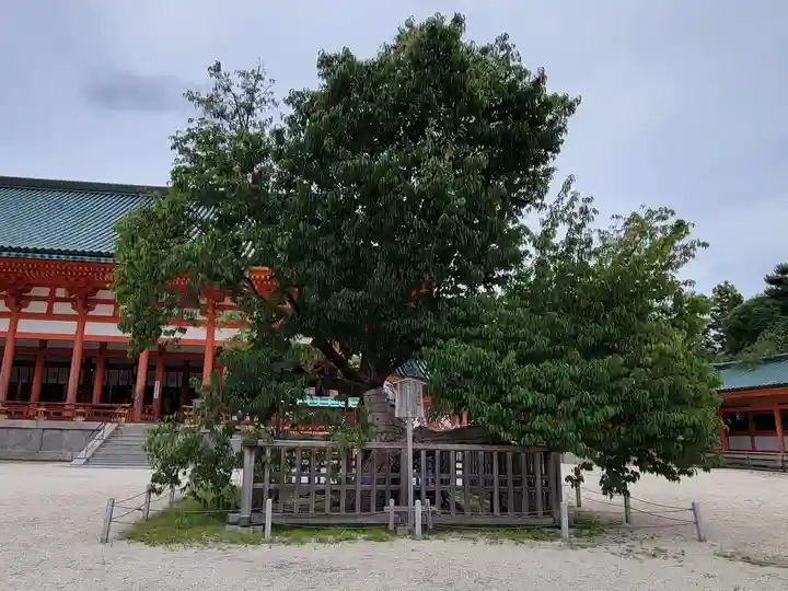 平安神宮(京都府)