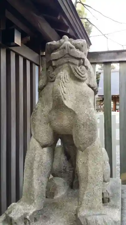 乃木神社の狛犬