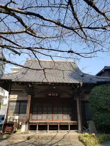 大信寺(東京都)