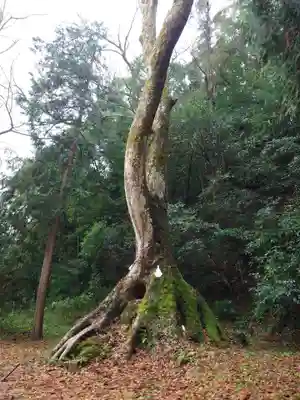 熊野大社(島根県)