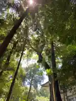 草薙神社の自然