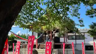 圓應寺(山形県)