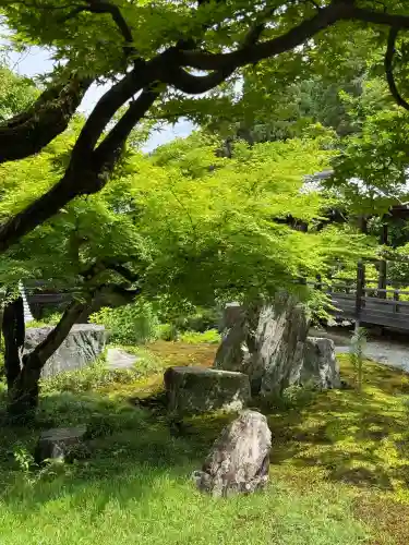南禅寺(京都府)