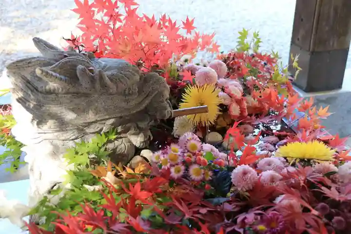 滑川神社 - 仕事と子どもの守り神の手水舎
