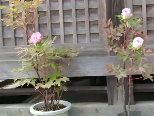 麻賀多神社の自然