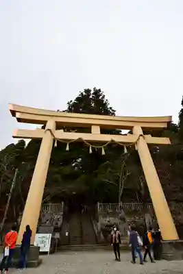 戸隠神社中社の鳥居