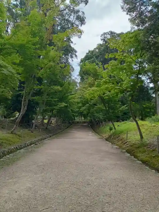 醍醐寺(京都府)