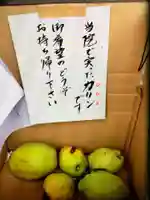 福蔵院(東京都)