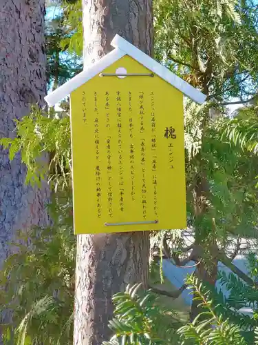 西野神社の歴史