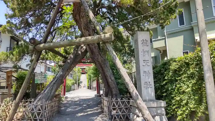 荏柄天神社の自然