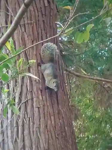 舞岡八幡宮(神奈川県)