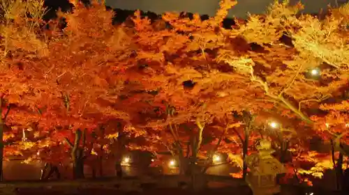 清水寺の自然