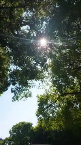 津島神社の自然