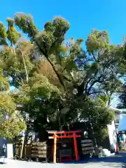 富知六所浅間神社の末社