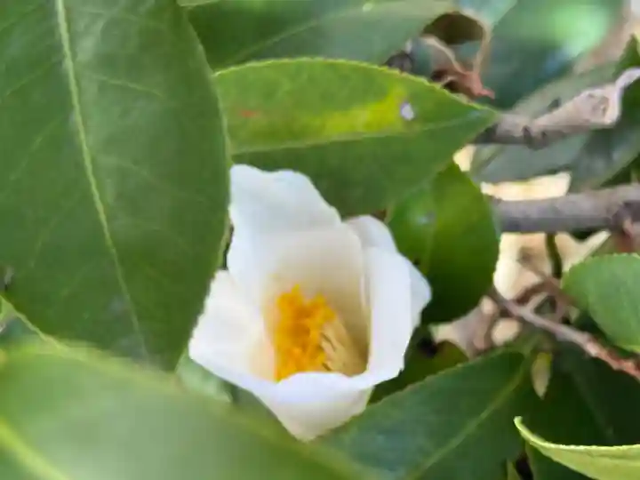 西方山極楽寺(岐阜県)