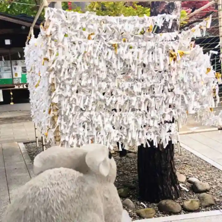 彌彦神社 (伊夜日子神社)のおみくじ