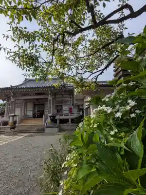 荘厳寺(東京都)