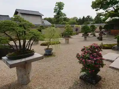 芳春院(京都府)