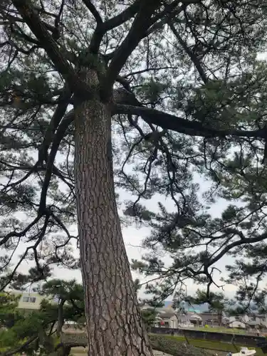 瀧姫神社(愛媛県)