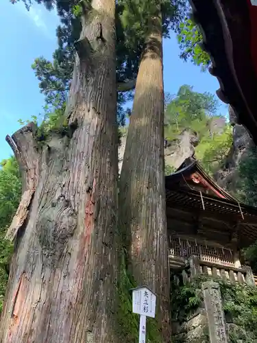 榛名神社の自然