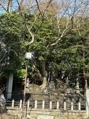 瀧泉寺（目黒不動尊）(東京都)