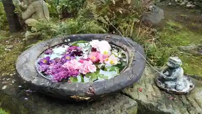 かっぱの寺 栖足寺の手水舎