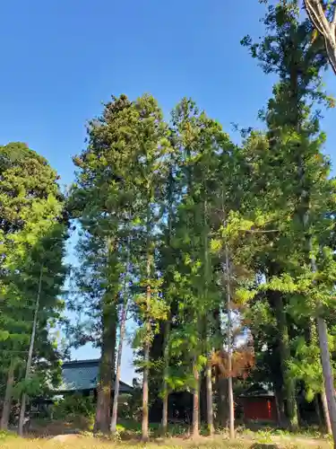 神炊館神社 ⁂奥州須賀川総鎮守⁂(福島県)