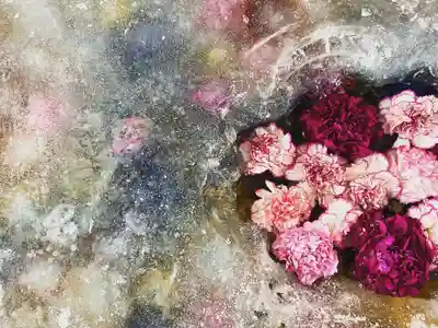 札幌諏訪神社の手水舎