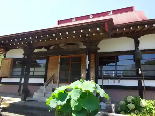 伊勢原 法泉寺の本殿・本堂