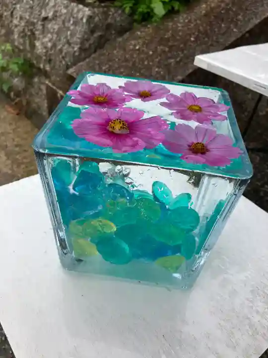 般若寺 ❁コスモス寺❁(奈良県)