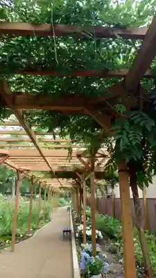 藤森神社(京都府)