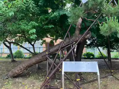 江南神社(北海道)