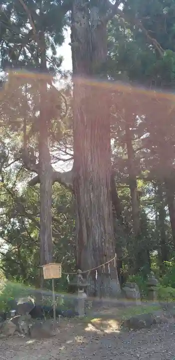 熊野那智神社の自然