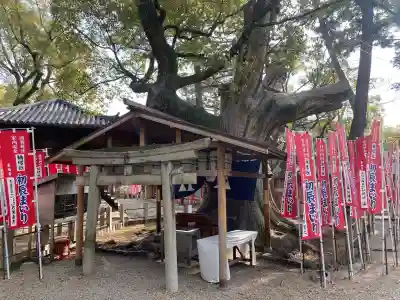 住吉大社(大阪府)