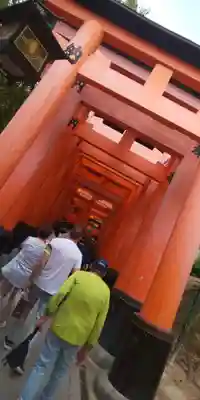 伏見稲荷大社(京都府)